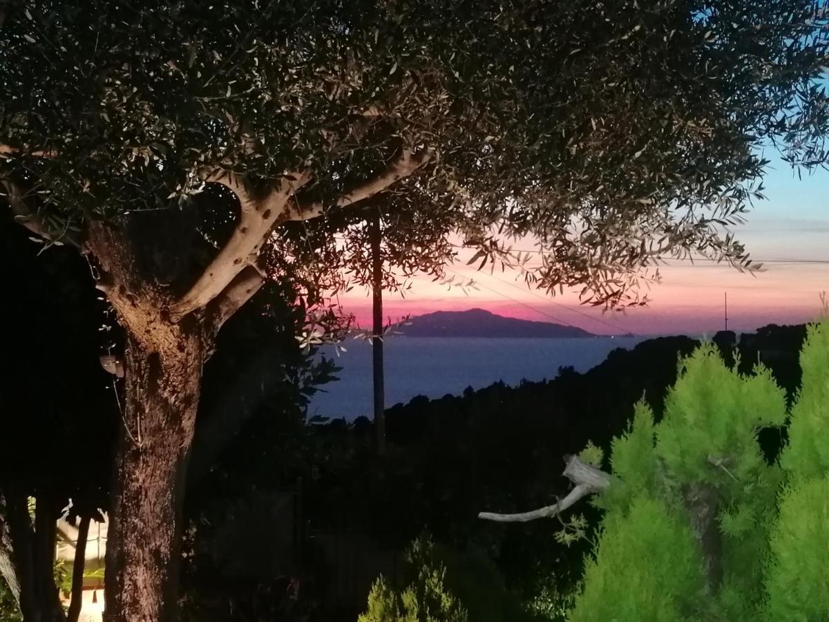 La Casa Di Pitti Hotel Anacapri  Ngoại thất bức ảnh